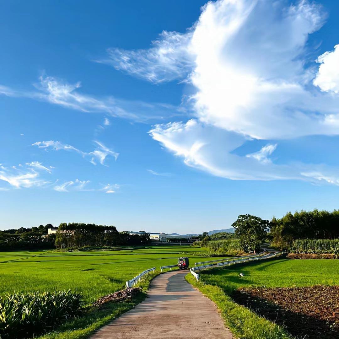 八旬奶奶的日常生活