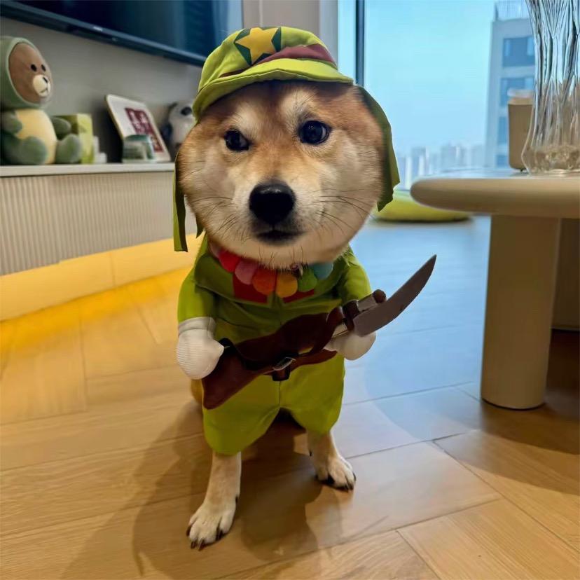 减不到120学狗叫