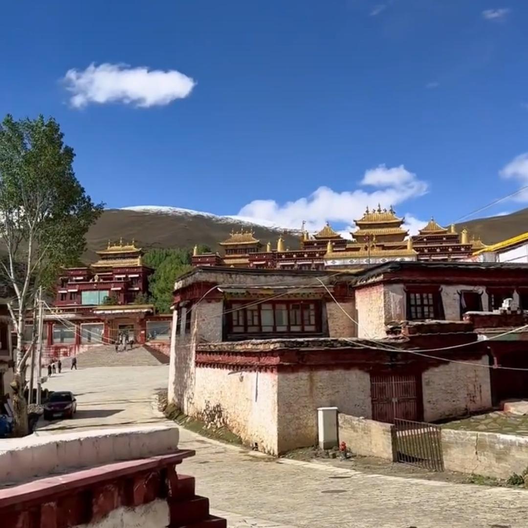 河南星旅自驾游-晓俊