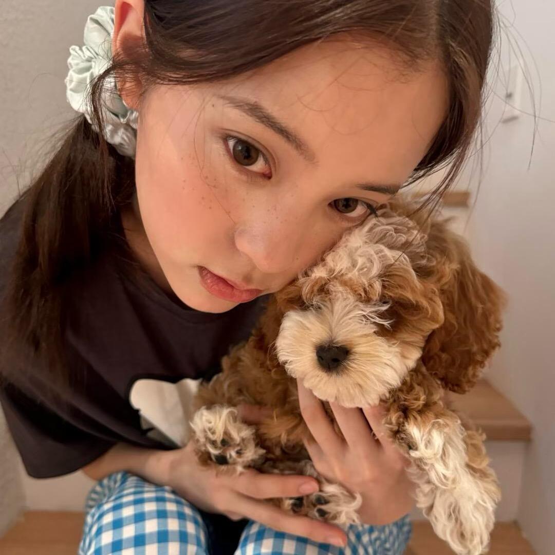 香蕉你个胡萝卜🥕