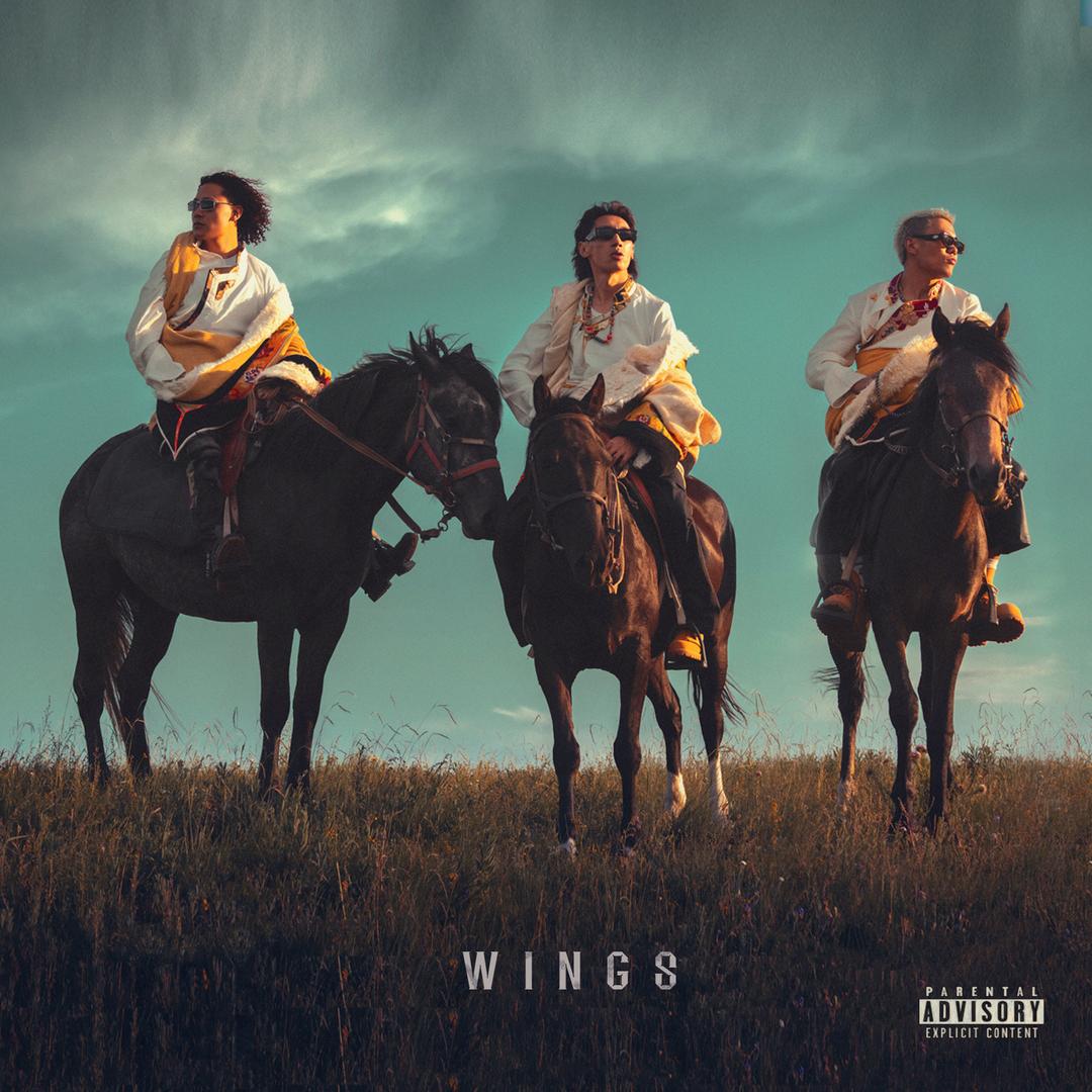 WINGS专辑已发版本