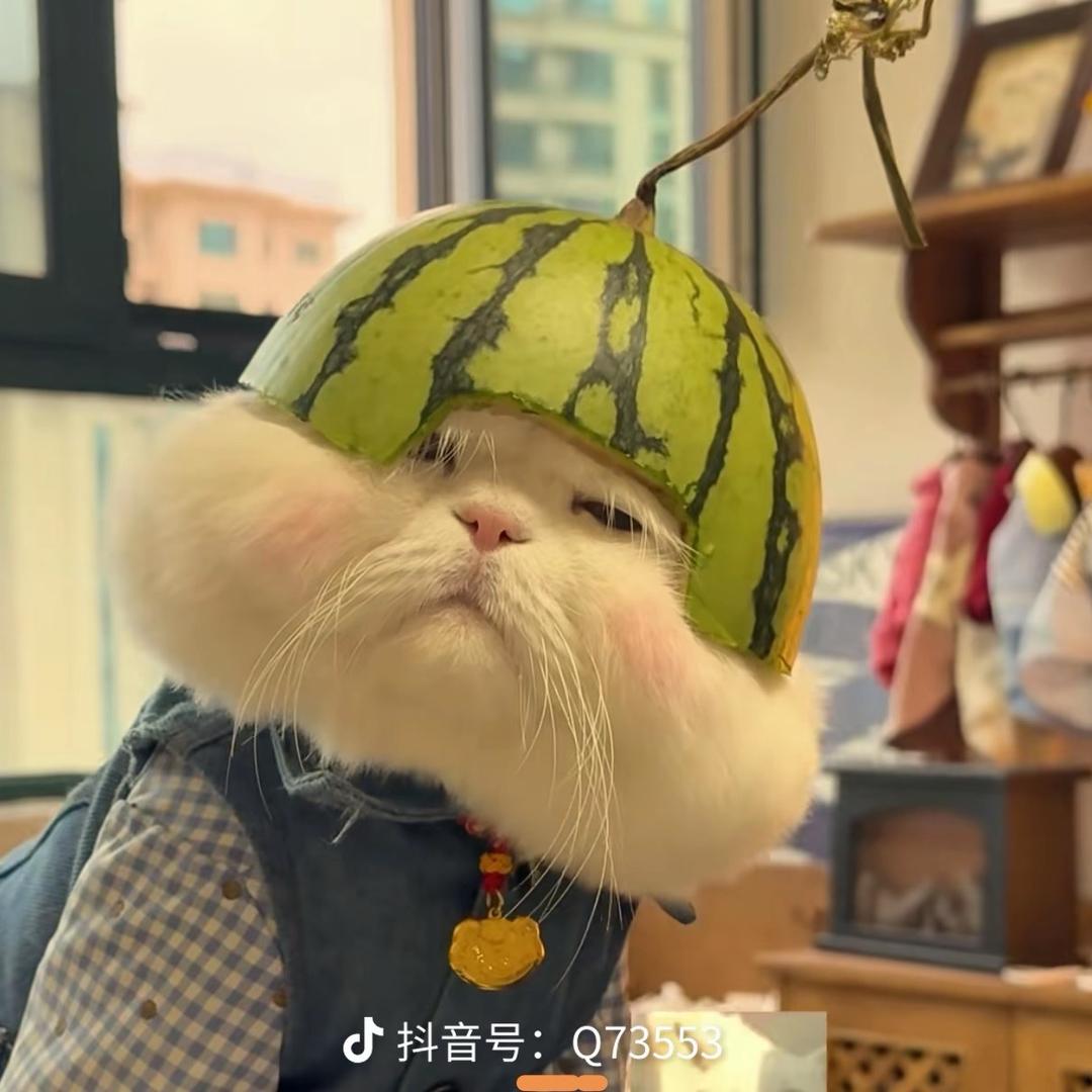 清风.