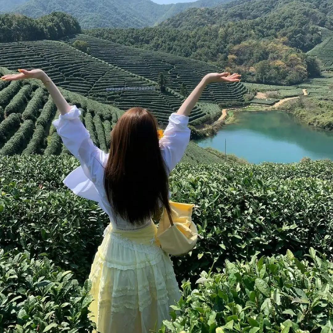破茧成蝶🦋