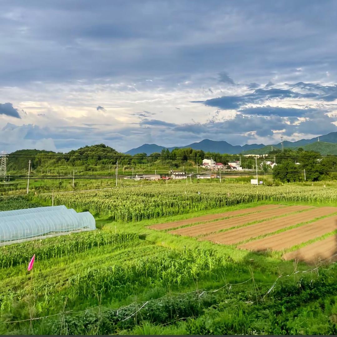 瑞丰农业新材料