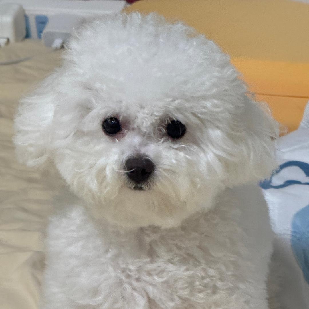 xixixixixiixixixx西瓜