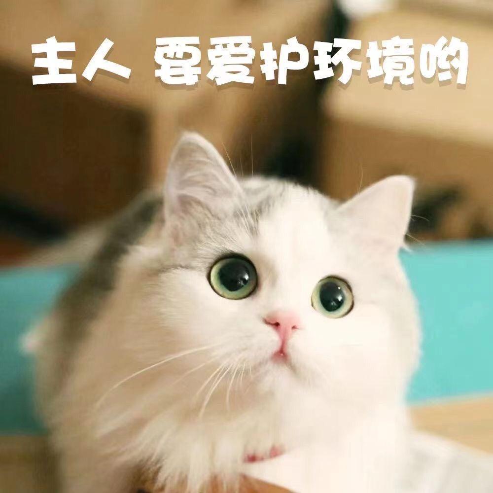 不吃香菜33