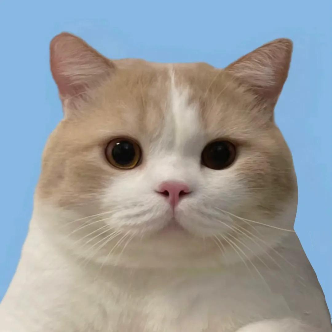 钦州探房日记vIog