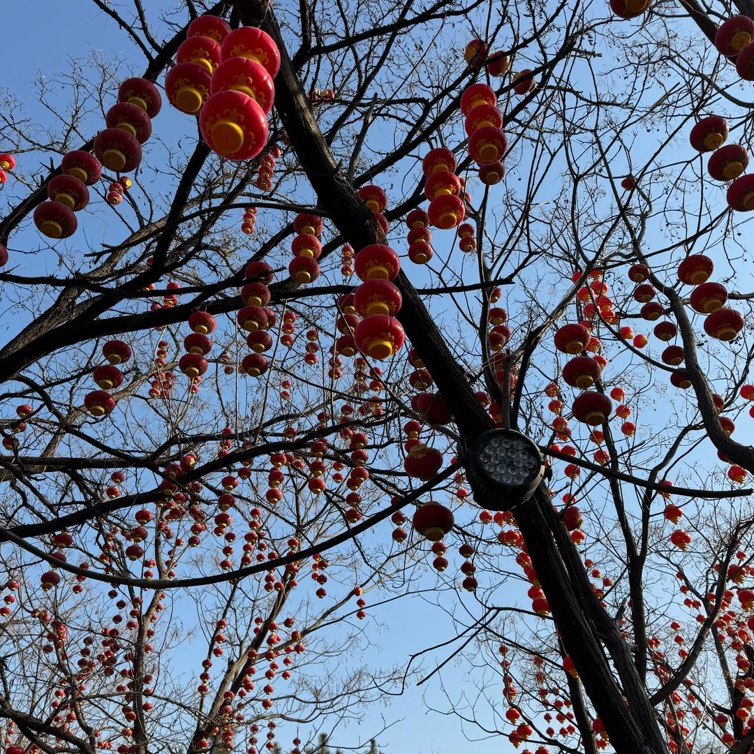 ঠᩚ᭄余生💕安好᭨ᮩ໊࿐