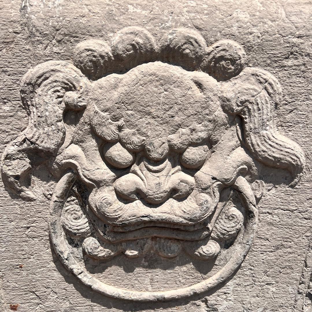 张站长寻宝归来