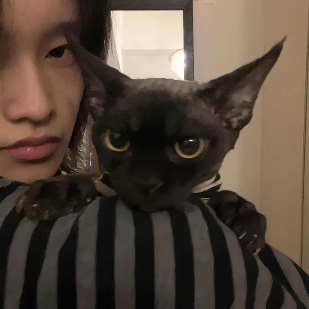a楠