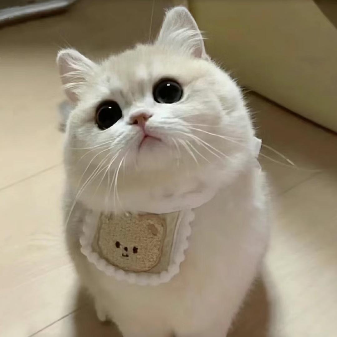 爱喝橙汁