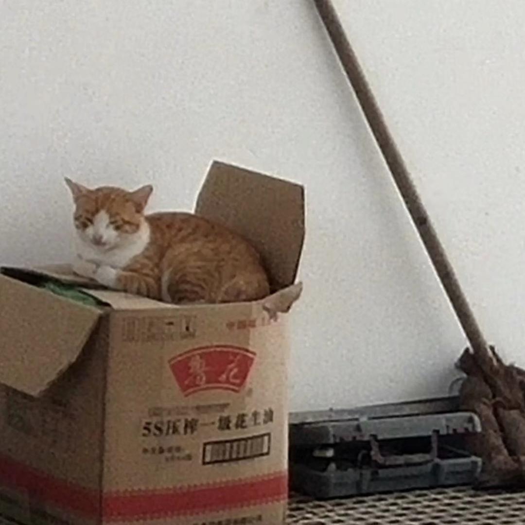 一碗酒禾.