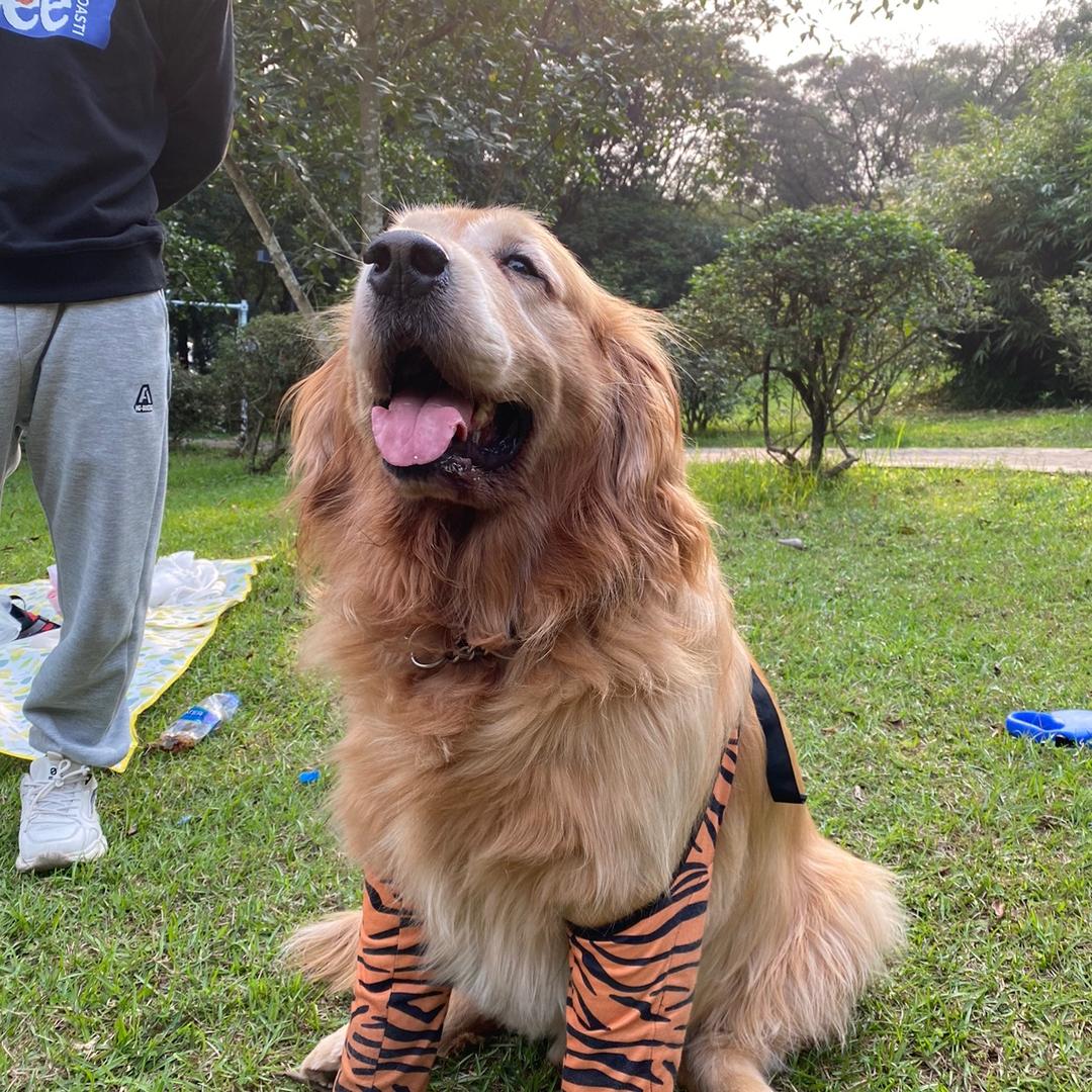 老干妈老干妈老干妈