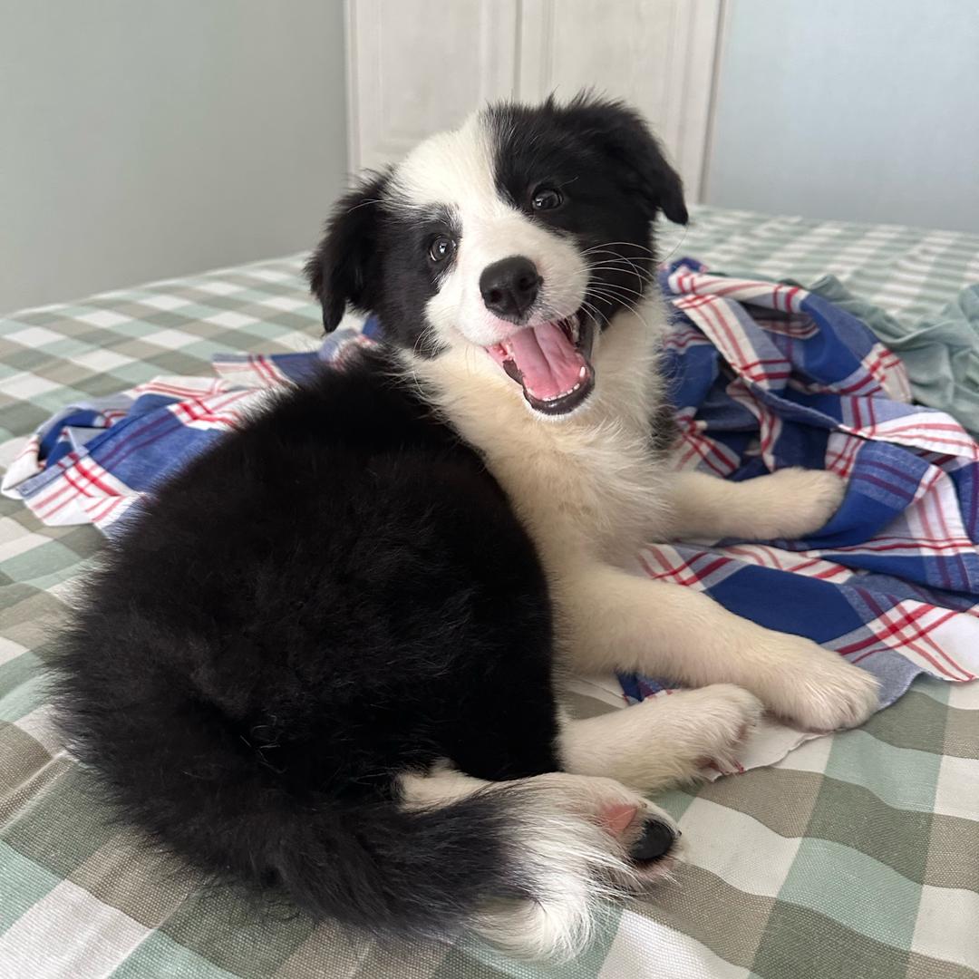 没钱没颜没时间