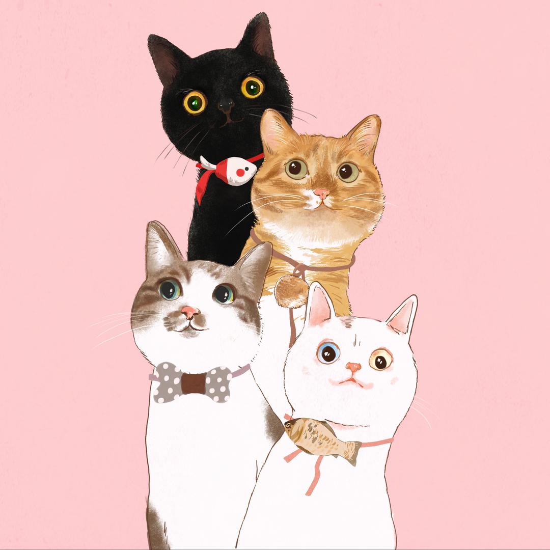 冷静是只猫