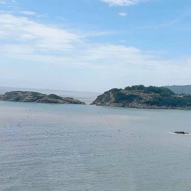 马彪