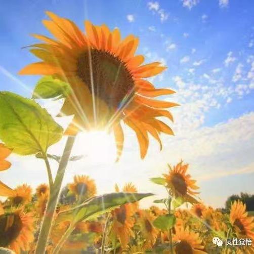 合阳新中式家居壹堂家居