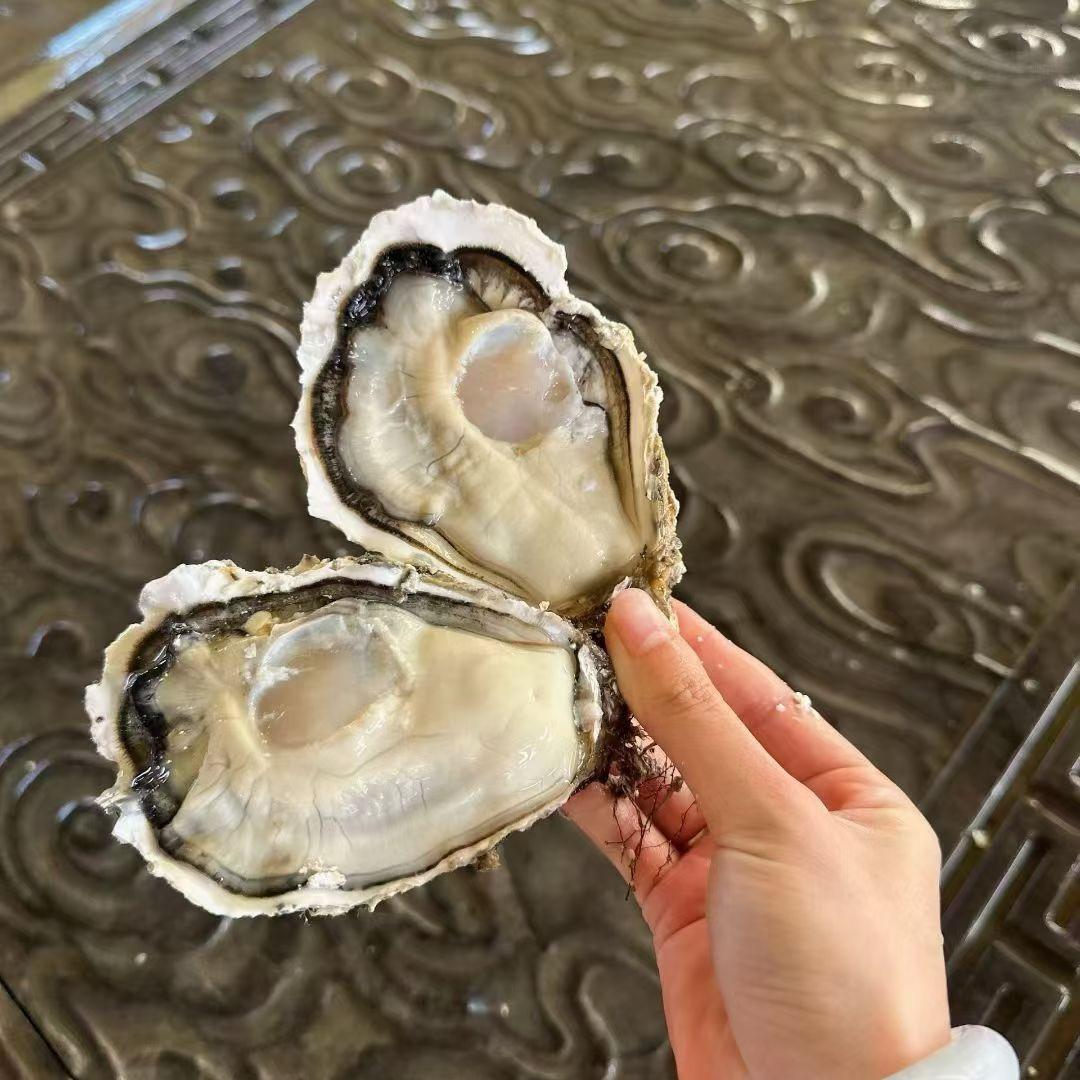 乳山生蚝毛料代收