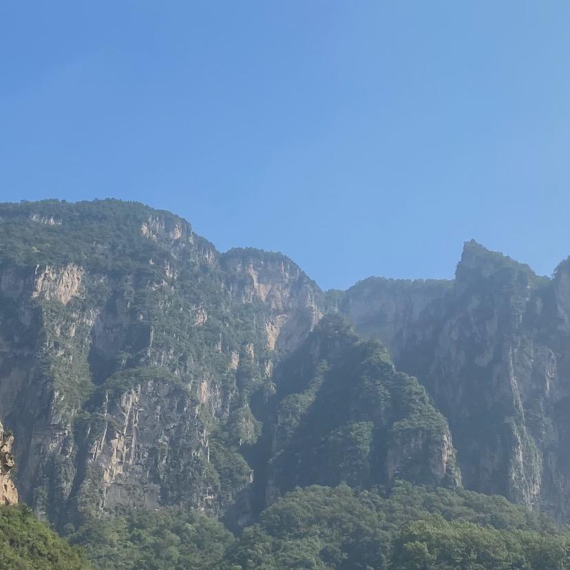 文青财税