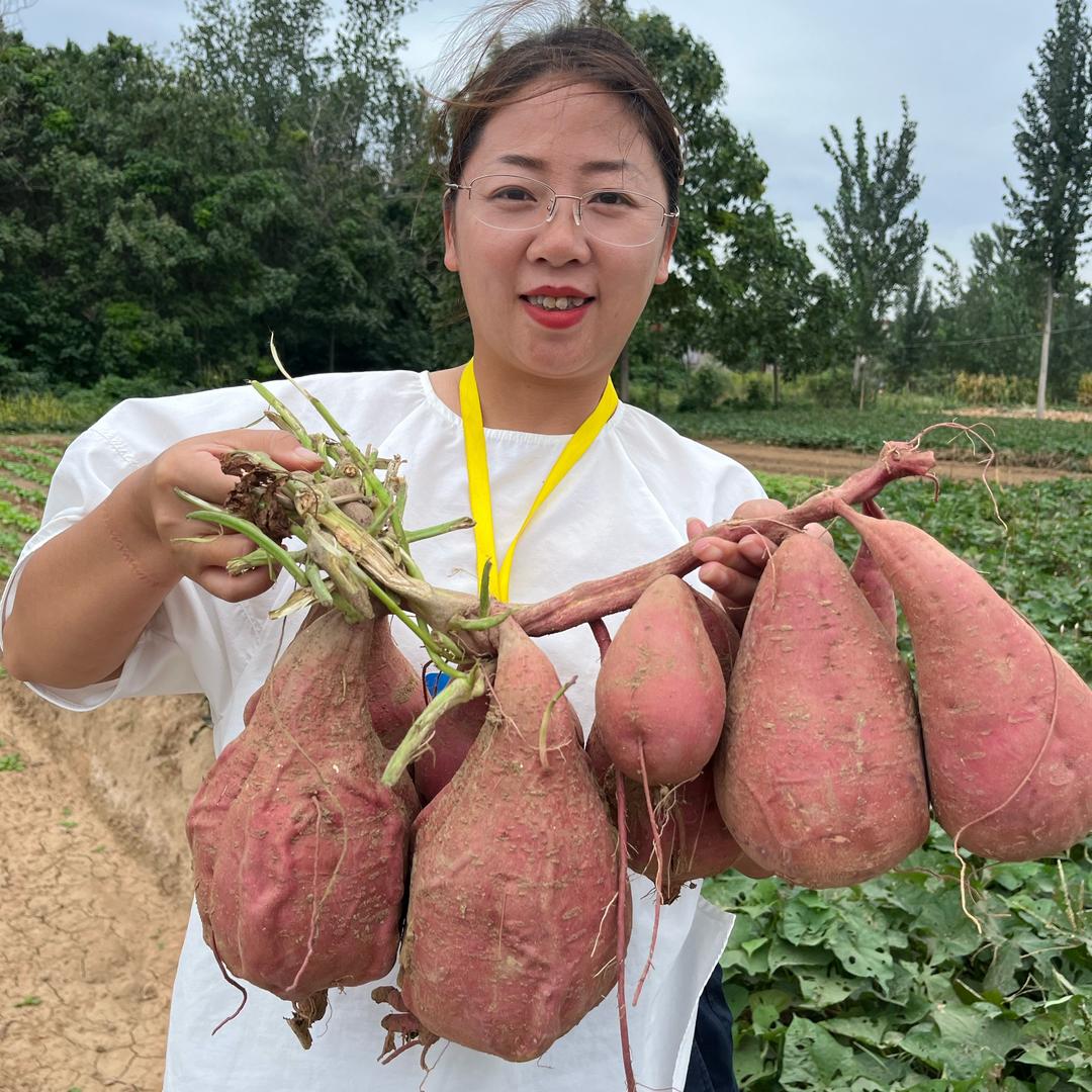 隔壁李姐的小菜园
