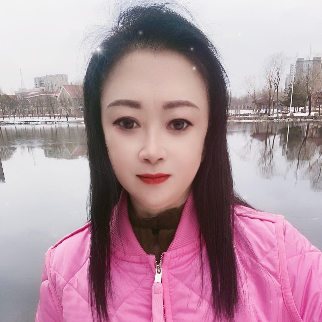 雁南飞