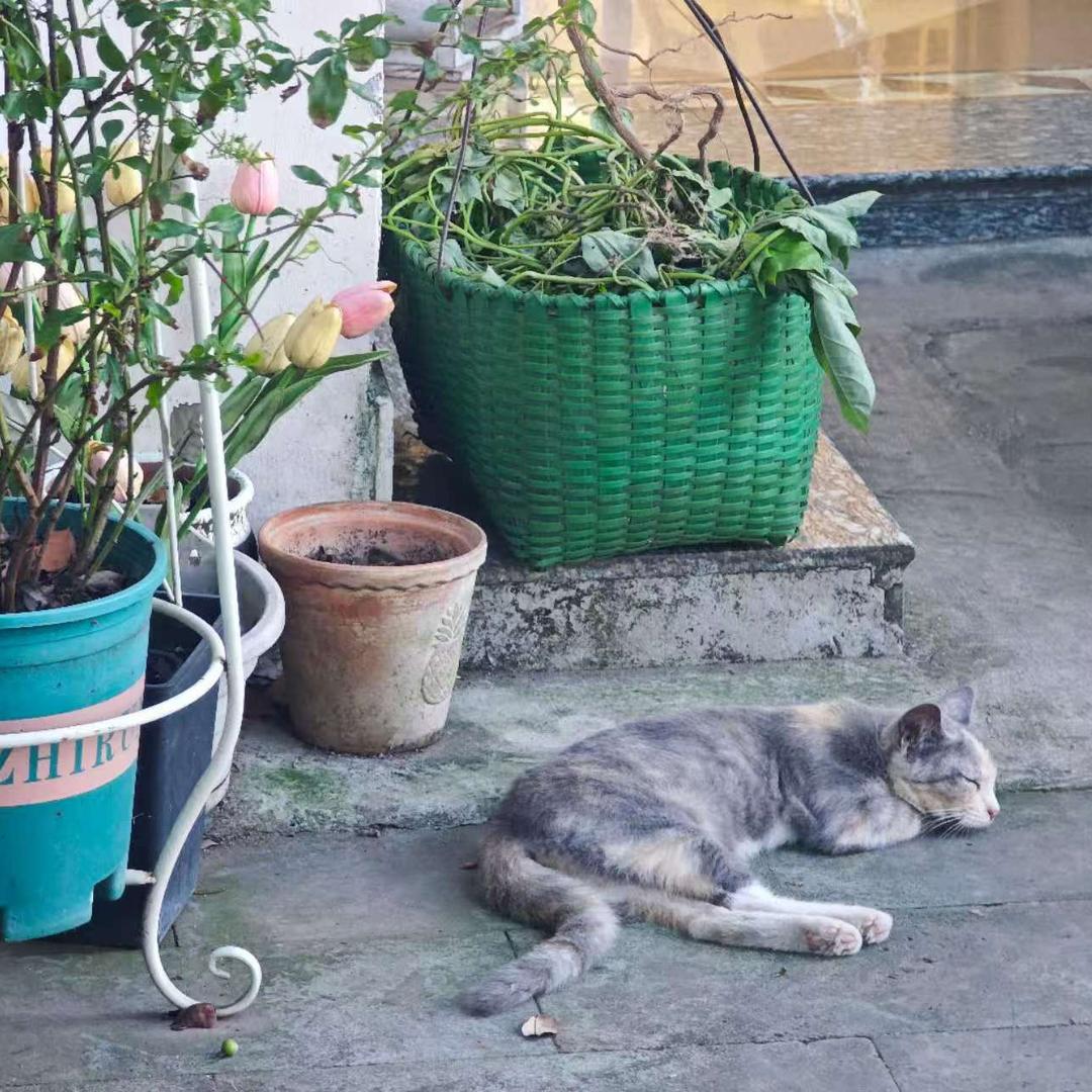 哈哈哈哈哈哈🍬