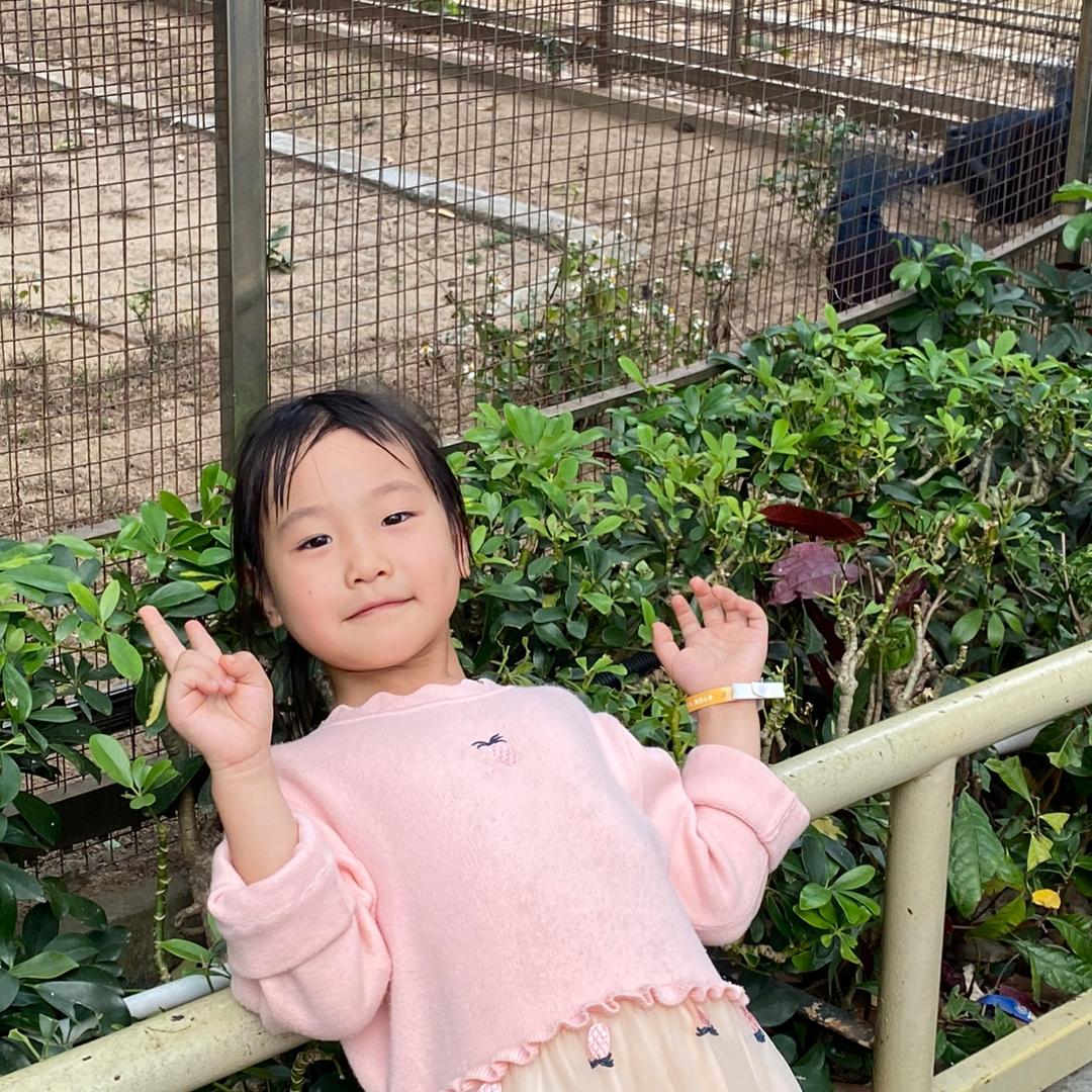 金黄小麦子