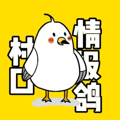 村口情报鸽