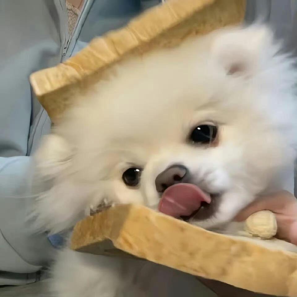 清江画廊的磁悬浮