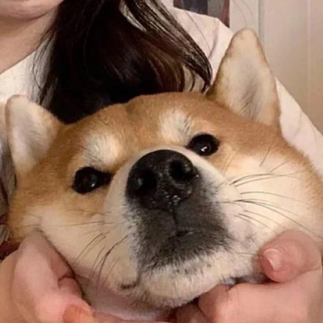 风里带着你.