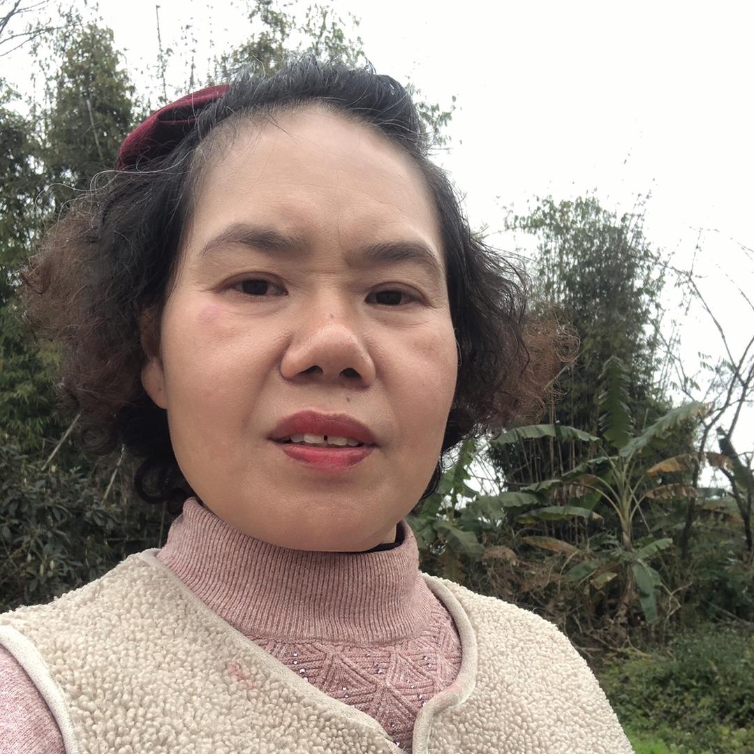树外婆