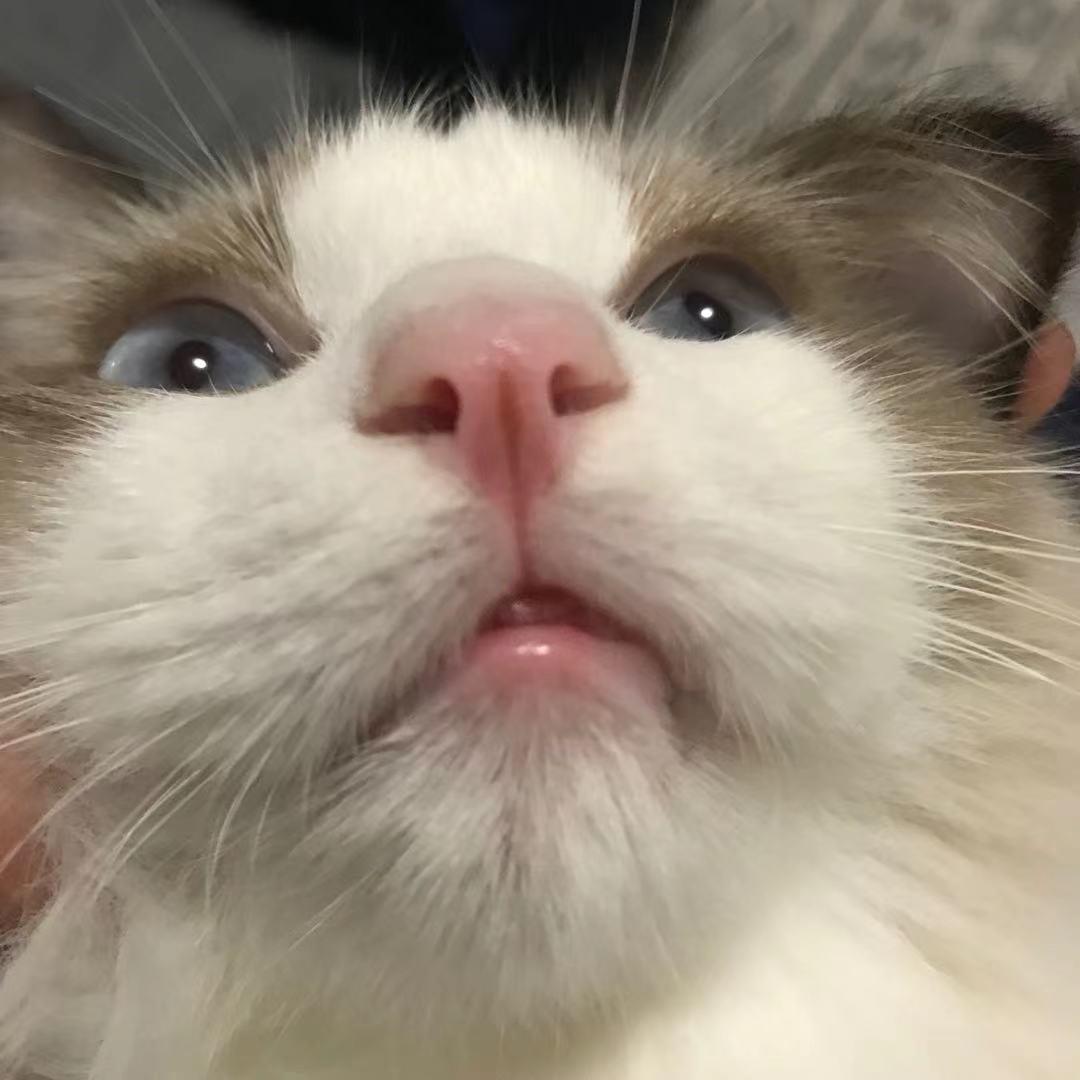 你睡醒了没