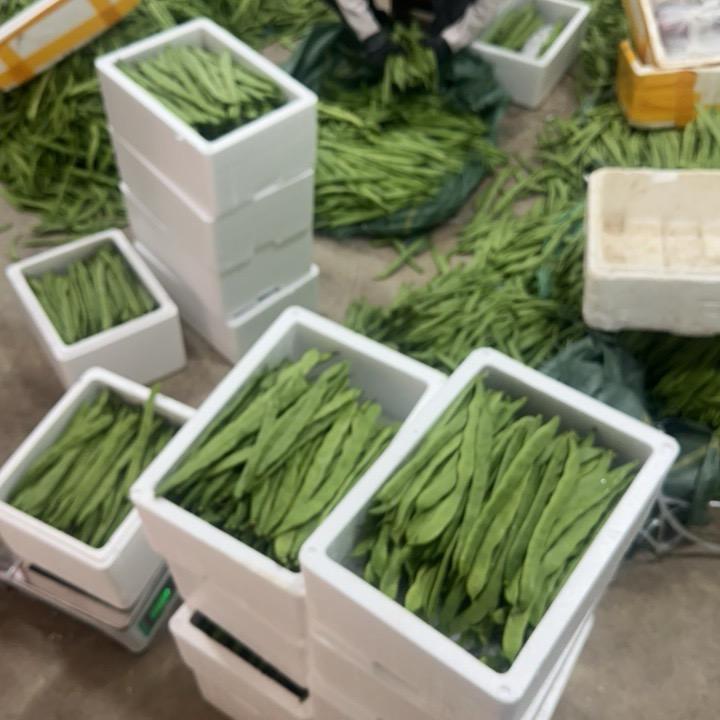 瑞云农产品