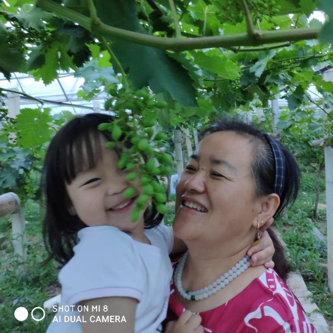 老张两口子退休农村生活