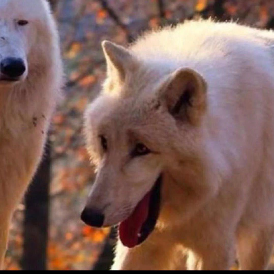 跑道01可以落地🛬