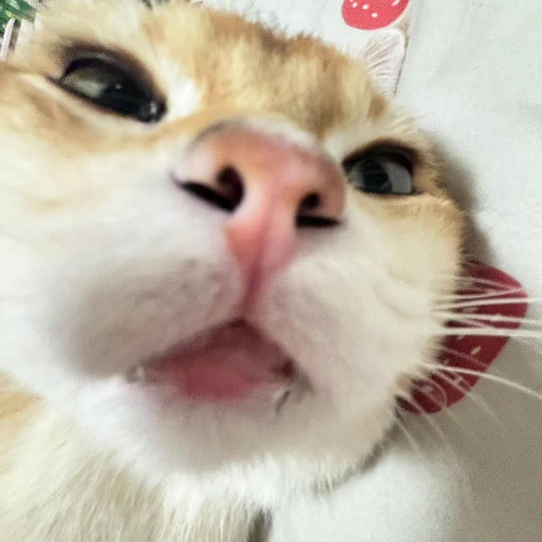 纳尼纳尼？