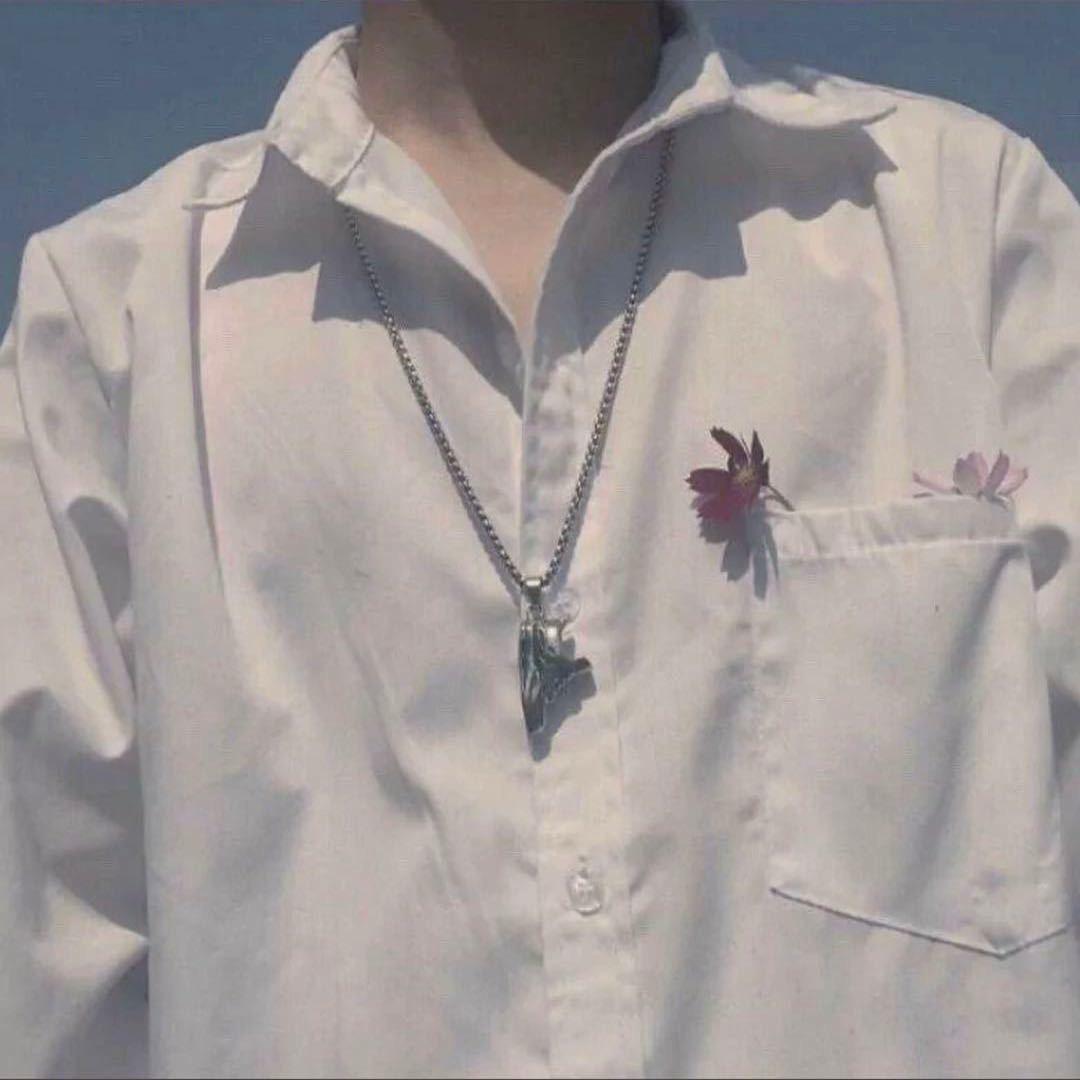 张北宸