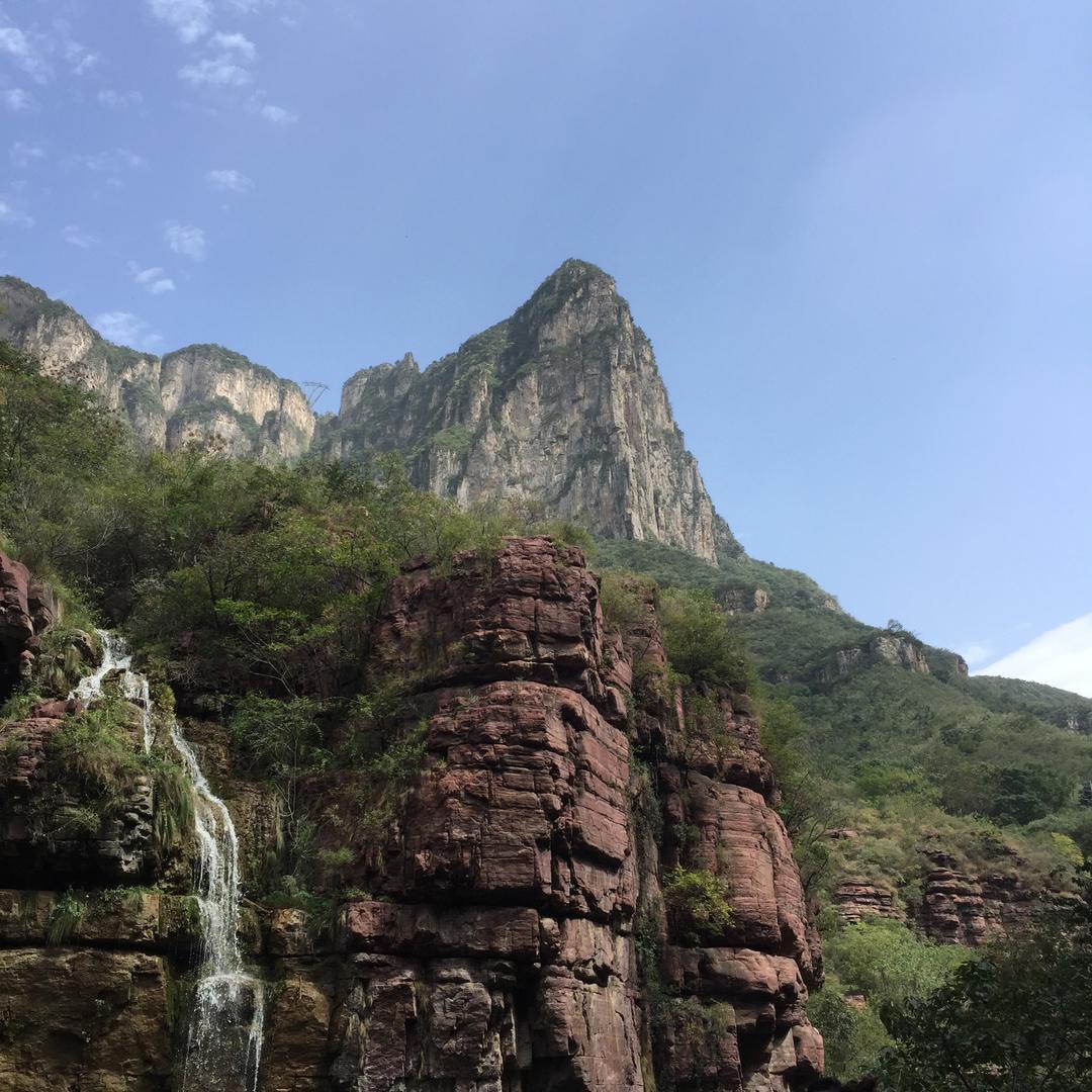 舒可