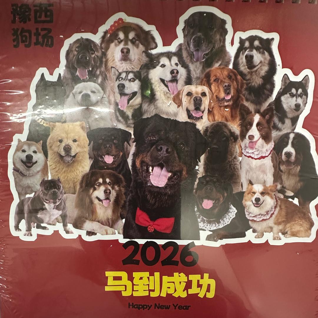 重生之我在通讯行业摸爬滚打