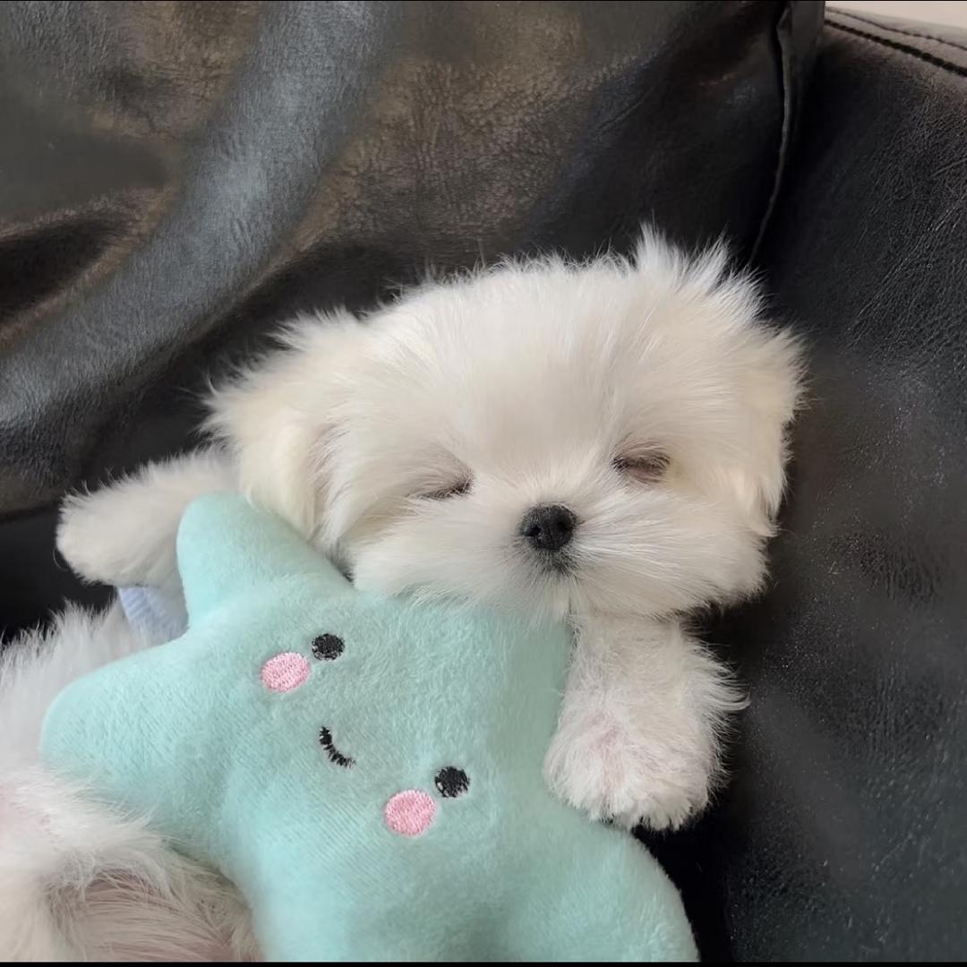 xuuin
