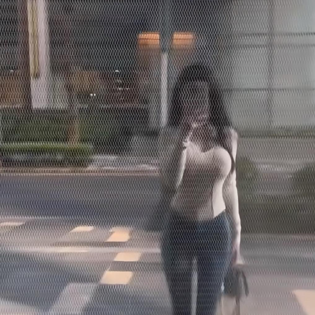爱尔雅