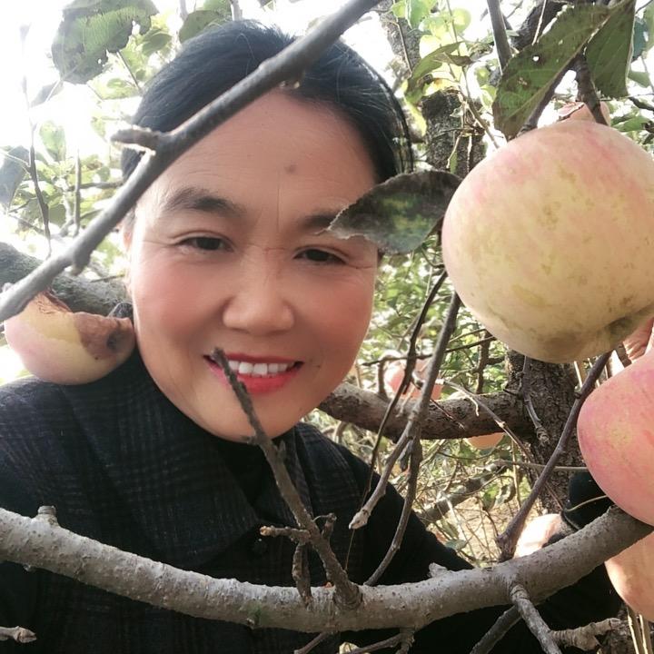 随缘