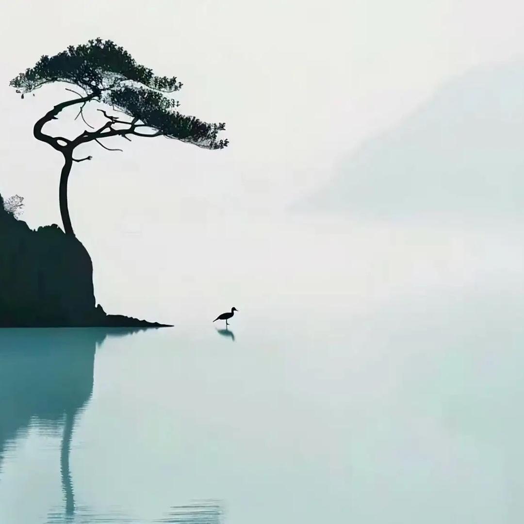 都是佳品