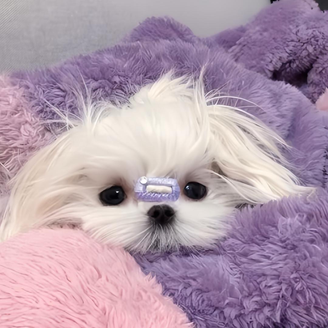 👸w