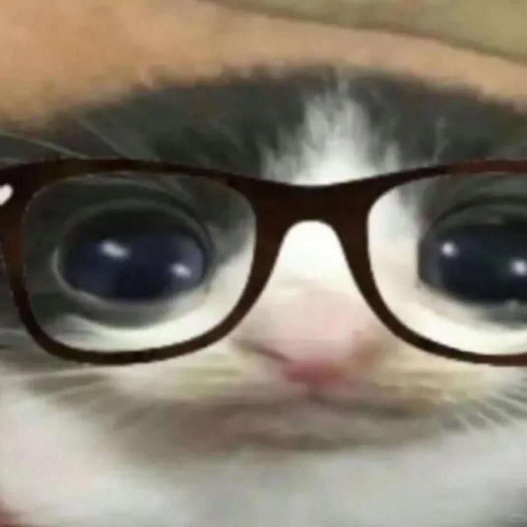 刺猬圈圈🦔