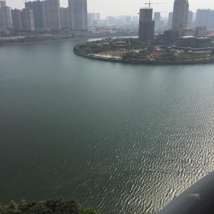 湖边滨哥