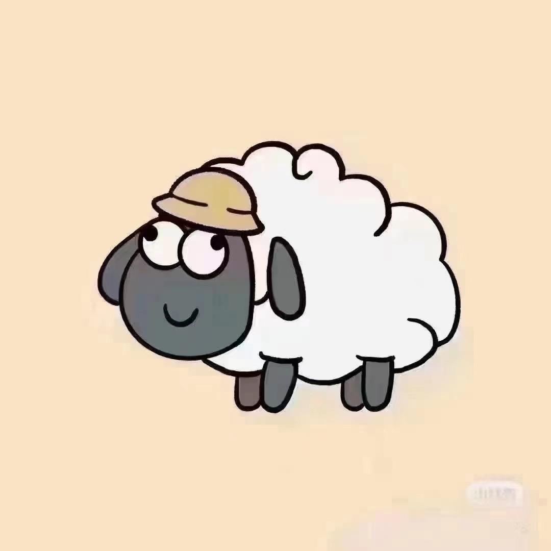 小羊探秘🐑