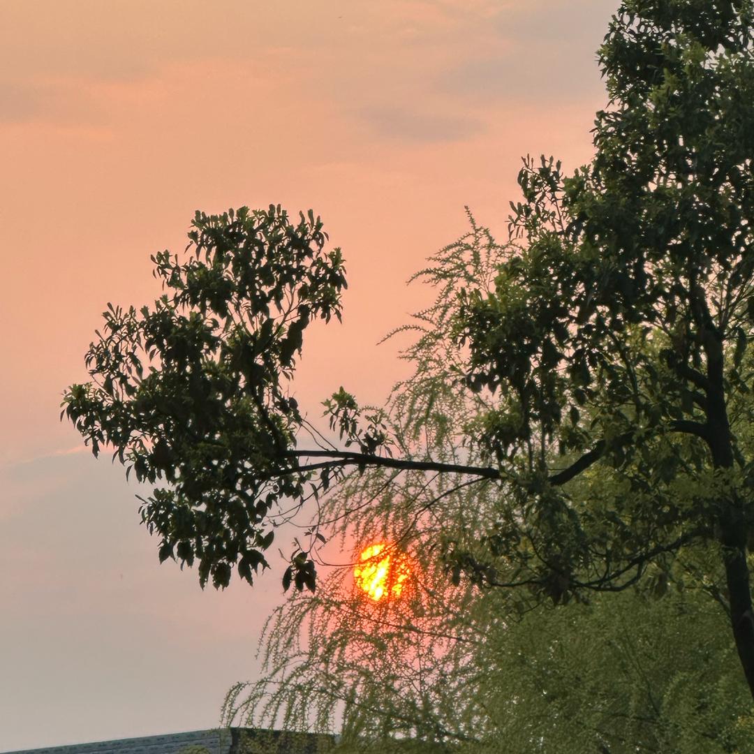 阿跃户外4