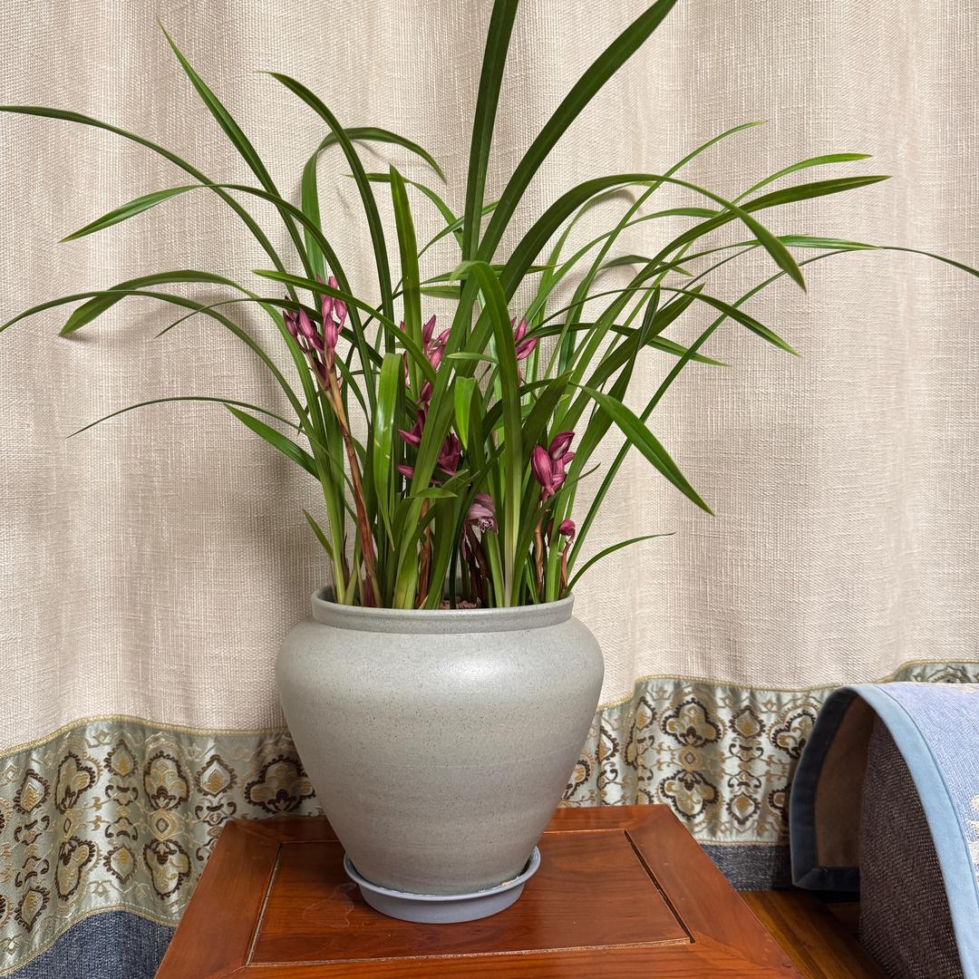 幸福平安（拒私聊）