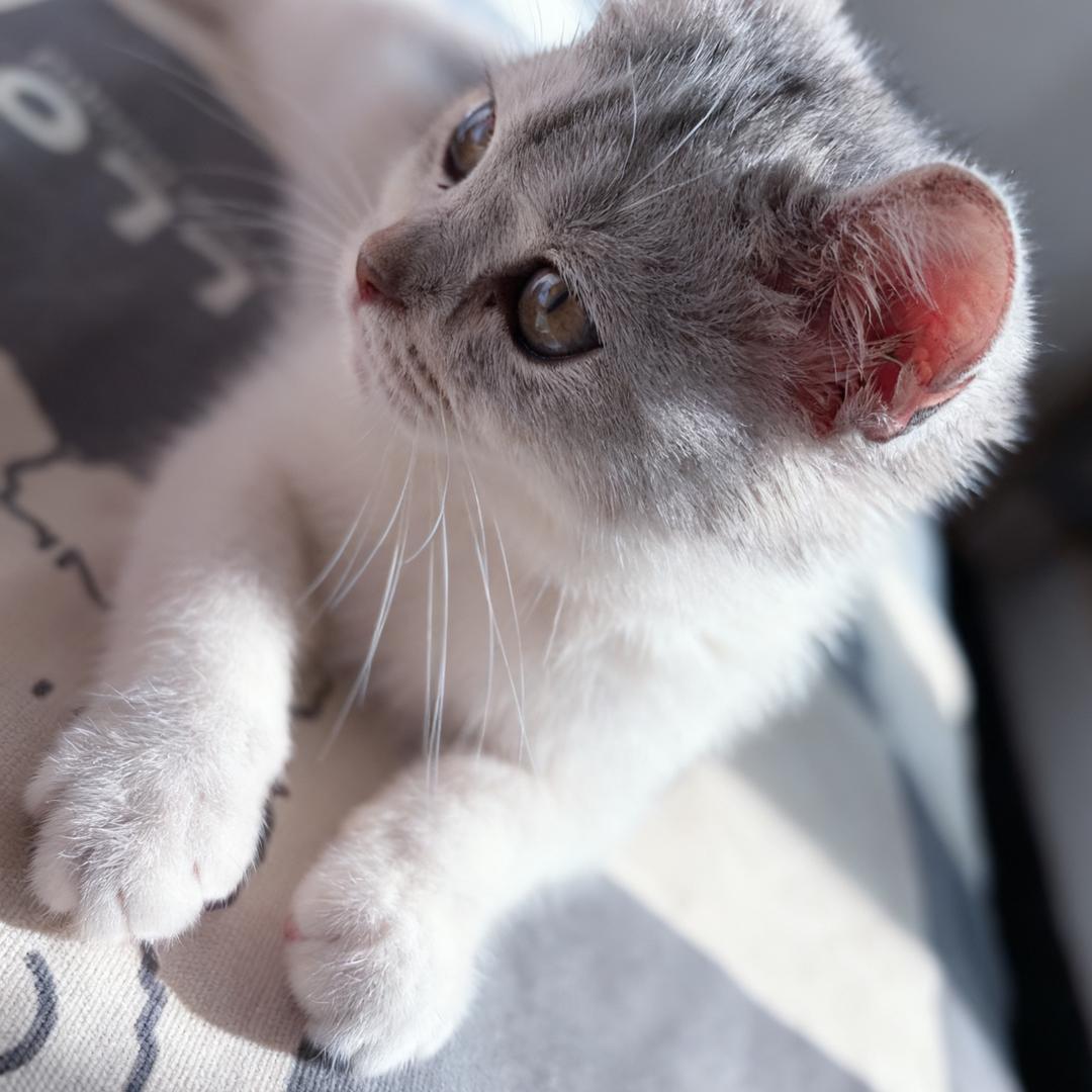 💫Grace 遇見糖風゛